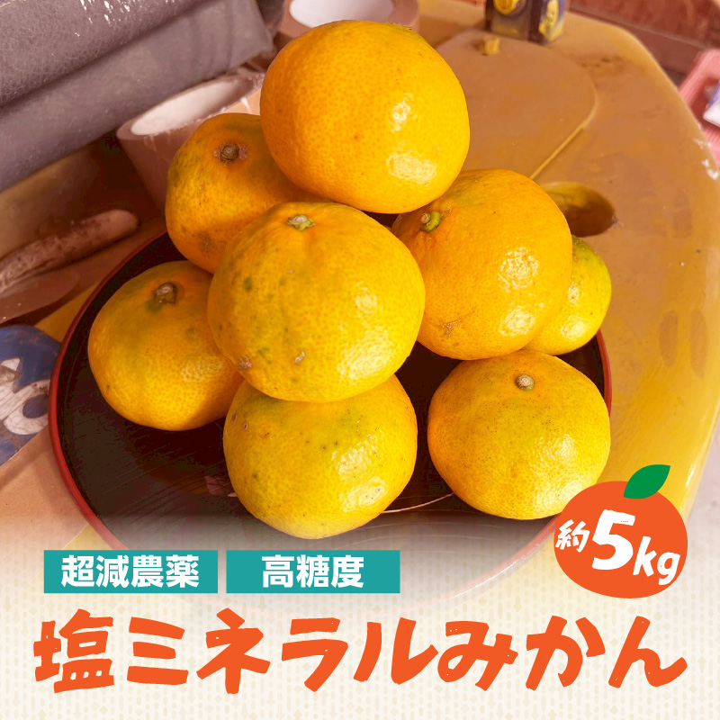 【超減農薬・高糖度】塩ミネラルみかん 約5kg ＜配送不可：北海道・沖縄・離島＞  みかん ミカン 蜜柑 フルーツ 美味しい 超減農薬 福岡県 八女市