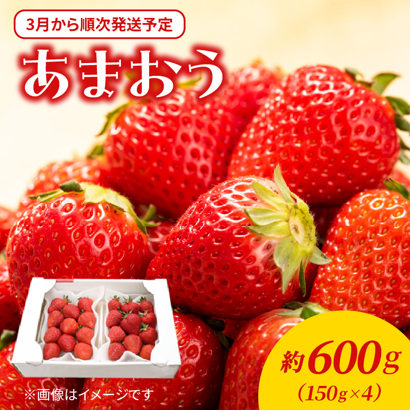 【2026年3月配送開始】福岡・博多名物ブランドいちご「あまおう」4パック 合計約600g＜配送不可：北海道・沖縄・離島＞ あまおう いちご 苺 イチゴ フルーツ 果物 くだもの 人気 旬 福岡県産 アフター補償 産地直送 冷蔵配送 福岡県 八女市