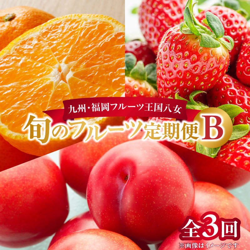 九州・福岡フルーツ王国八女　旬のフルーツ定期便【全３回】 B｜＜配送不可：北海道・沖縄・離島＞