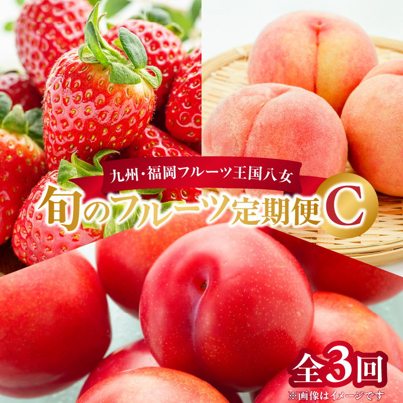 九州・福岡フルーツ王国八女　旬のフルーツ定期便【全３回】 C｜＜配送不可：北海道・沖縄・離島＞ あまおう いちご 苺イチゴ もも 桃 すもも 果物 フルーツ 定期便 デザート 旬 もぎたて 直送 福岡 八女市