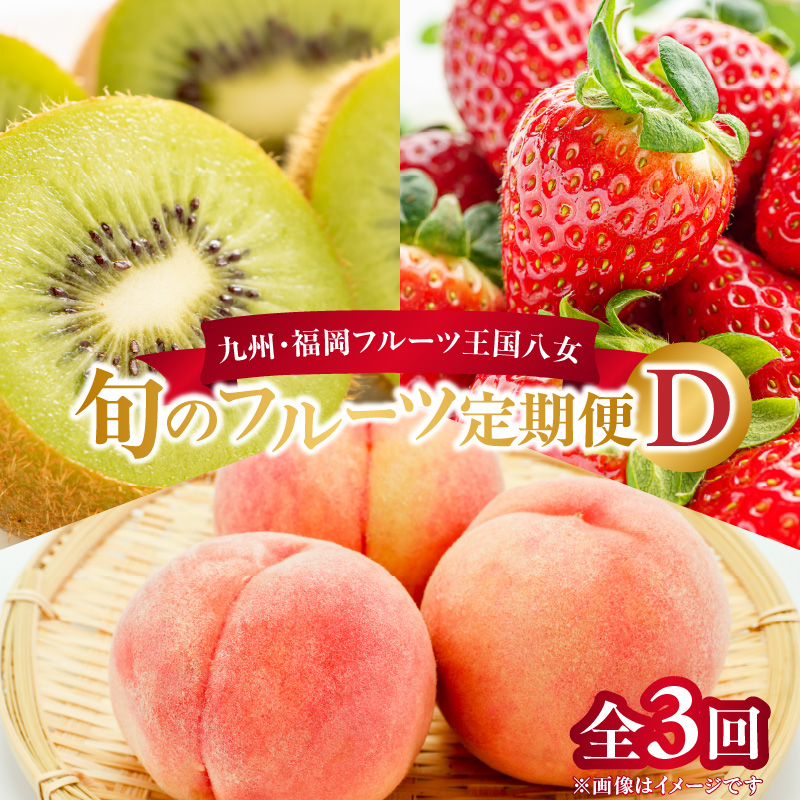 九州・福岡フルーツ王国八女　旬のフルーツ定期便【全３回】 D｜＜配送不可：北海道・沖縄・離島＞ あまおう 苺いちご イチゴ キウイ キウイフルーツ もも 桃 モモ 果物くだもの フルーツ 定期便 デザート 旬 もぎたて 直送 福岡 八女市