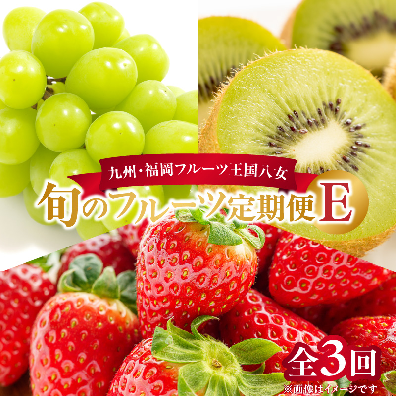 九州・福岡フルーツ王国八女　お楽しみ旬のフルーツ定期便【全３回】 E｜＜配送不可：北海道・沖縄・離島＞