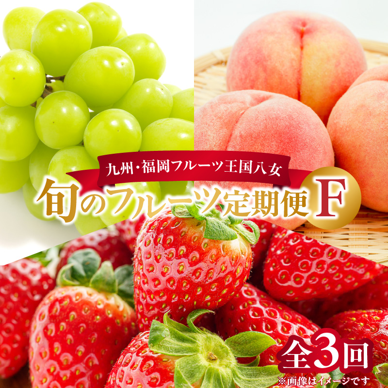 九州・福岡フルーツ王国八女　お楽しみ旬のフルーツ定期便【全３回】 F｜＜配送不可：北海道・沖縄・離島＞ あまおう 苺 いちご イチゴ シャインマスカット ぶどう もも 桃 モモ 果物 くだもの フルーツ 定期便 デザート 旬 もぎたて 直送 福岡 八女市