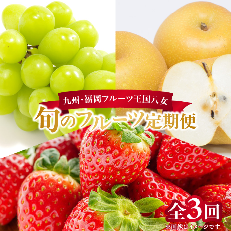 九州・福岡フルーツ王国八女　お楽しみ旬のフルーツ定期便【全３回】｜＜配送不可：北海道・沖縄・離島＞