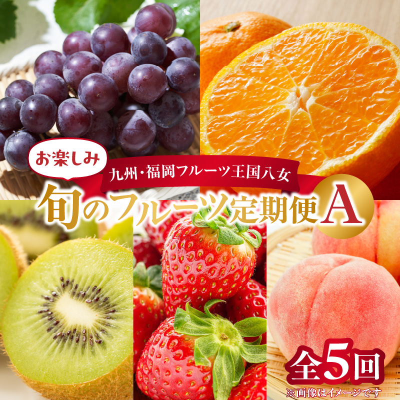 九州・福岡フルーツ王国八女　お楽しみ旬のフルーツ定期便【全５回】A｜＜配送不可：北海道・沖縄・離島＞  イチゴ 苺 いちご あまおう 桃 もも モモ ぶどう 葡萄 みかん 蜜柑 オレンジ キウイ キウイフルーツ 定期便 福岡 八女 北海道・沖縄・離島