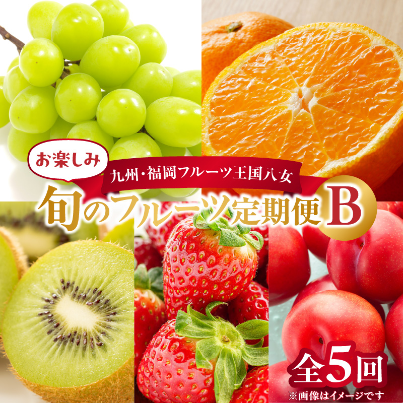 九州・福岡フルーツ王国八女　お楽しみ旬のフルーツ定期便【全５回】B｜＜配送不可：北海道・沖縄・離島＞