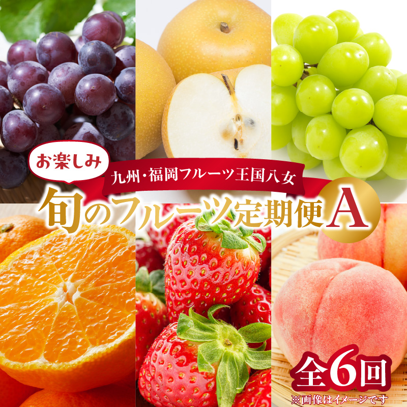 九州・福岡フルーツ王国八女　お楽しみ旬のフルーツ定期便【全６回】Ａ｜＜配送不可：北海道・沖縄・離島＞ いちご 苺 イチゴ あまおう 桃 もも モモ 葡萄 ぶどう 梨 シャインマスカット みかん 蜜柑 オレンジ