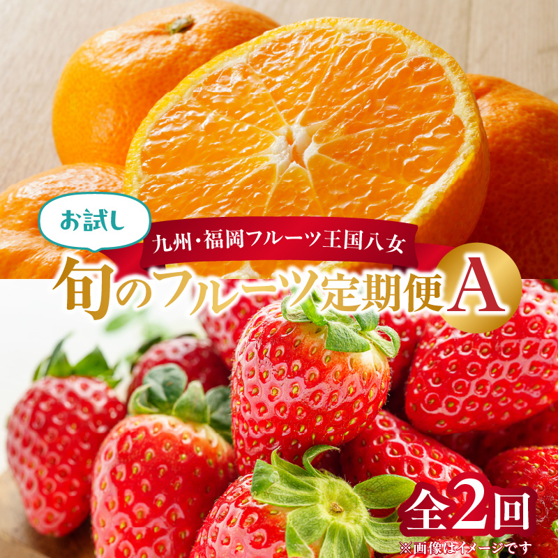 九州・福岡フルーツ王国八女　お試し旬のフルーツ定期便【全２回】 A｜＜配送不可：北海道・沖縄・離島＞