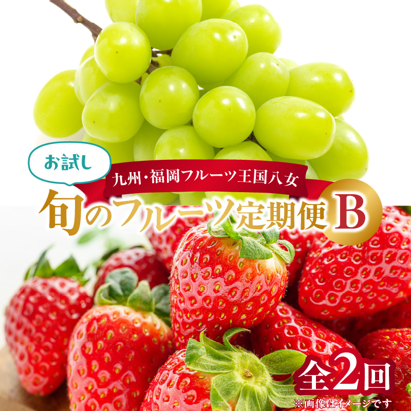 九州・福岡フルーツ王国八女　お試し旬のフルーツ定期便【全２回】 B｜＜配送不可：北海道・沖縄・離島＞
