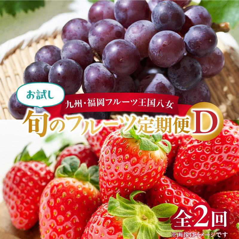 九州・福岡フルーツ王国八女　お試し旬のフルーツ定期便【全２回】 D ｜＜配送不可：北海道・沖縄・離島＞