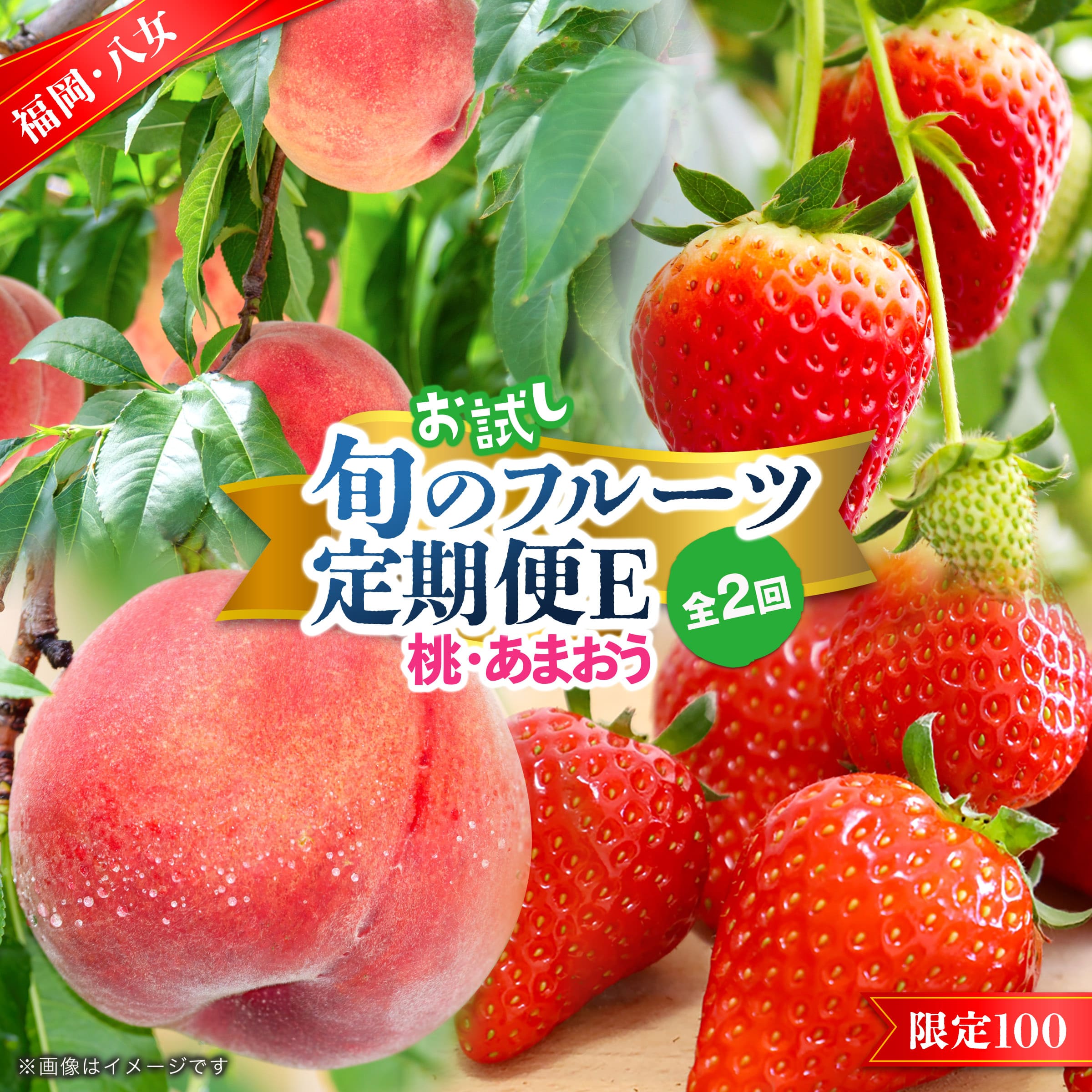 九州・福岡フルーツ王国八女　お試し旬のフルーツ定期便【全２回】 E｜＜配送不可：北海道・沖縄・離島＞  あまおう いちご 苺 イチゴ もも 桃 果物 フルーツ 旬 もぎたて 定期便 福岡 八女