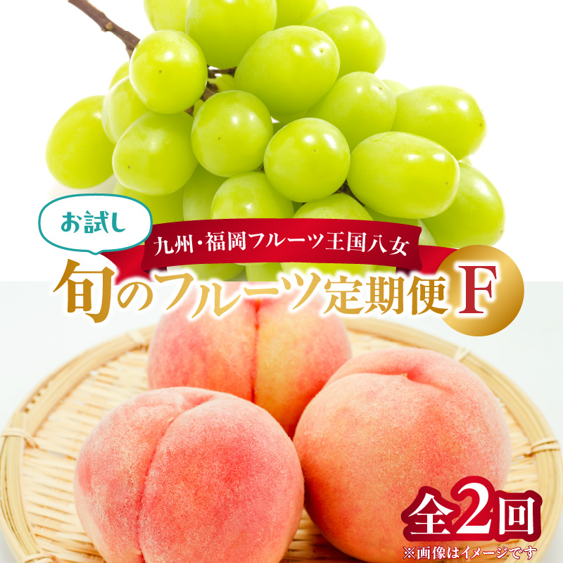 九州・福岡フルーツ王国八女　お試し旬のフルーツ定期便【全２回】 F｜＜配送不可：北海道・沖縄・離島＞ 桃 シャインマスカット もも 果物 先行予約 旬のフルーツ 詰め合わせ 福岡県 お取り寄せ 八女市