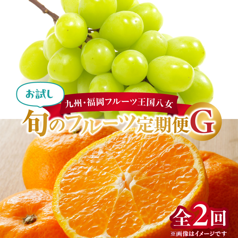 九州・福岡フルーツ王国八女　お試し旬のフルーツ定期便【全２回】 G｜＜配送不可：北海道・沖縄・離島＞