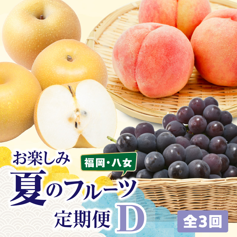 福岡八女　お楽しみ夏のフルーツ定期便D｜＜配送不可：北海道・沖縄・離島＞