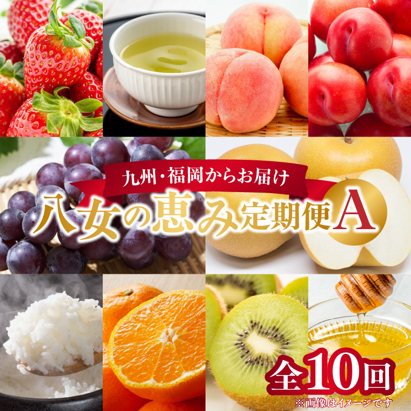 九州・福岡からお届け！八女の恵み定期便【全１０回】 A｜＜配送不可：北海道・沖縄・離島＞