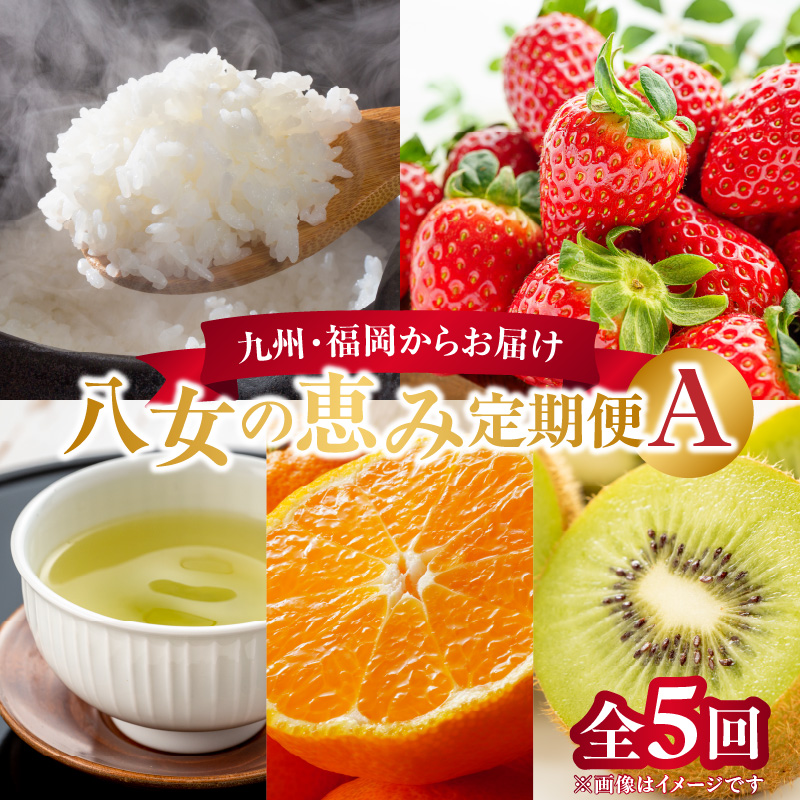 九州・福岡からお届け！八女の恵み定期便【全５回】 A　※配送不可：北海道と離島（沖縄本島を含む）