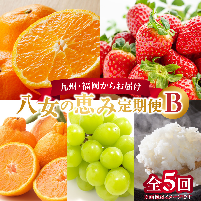 九州・福岡からお届け！お楽しみ八女の恵み定期便【全５回】 B｜配送不可：北海道・沖縄・離島