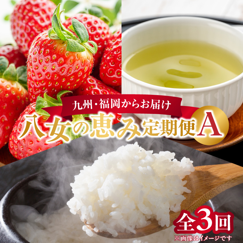 九州・福岡からお届け！八女の恵み定期便【全３回】 A｜＜配送不可：北海道・沖縄・離島＞