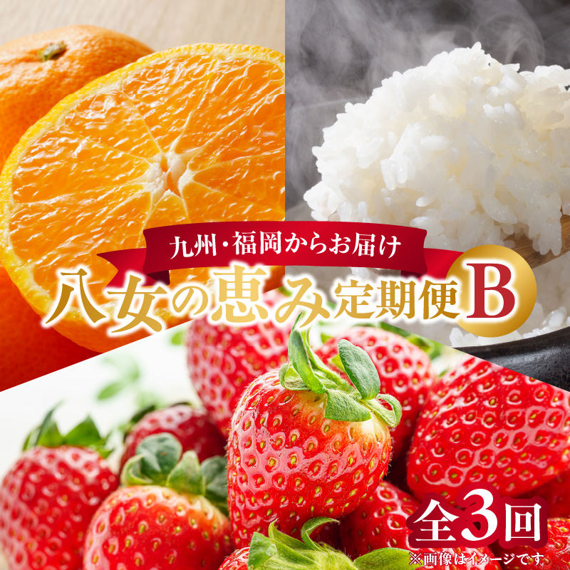 九州・福岡からお届け！八女の恵み定期便【全３回】 B｜＜配送不可：北海道・沖縄・離島＞