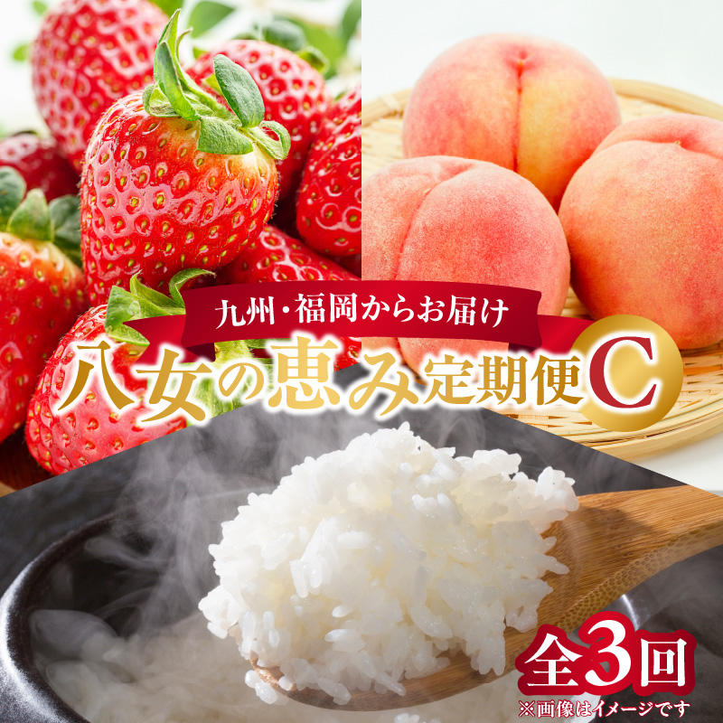 九州・福岡からお届け！八女の恵み定期便【全３回】 C｜＜配送不可：北海道・沖縄・離島＞