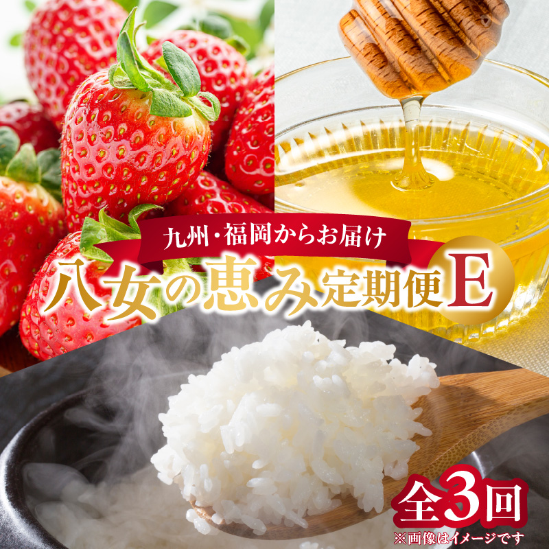 九州・福岡からお届け！八女の恵み定期便【全３回】 E｜＜配送不可：北海道・沖縄・離島＞