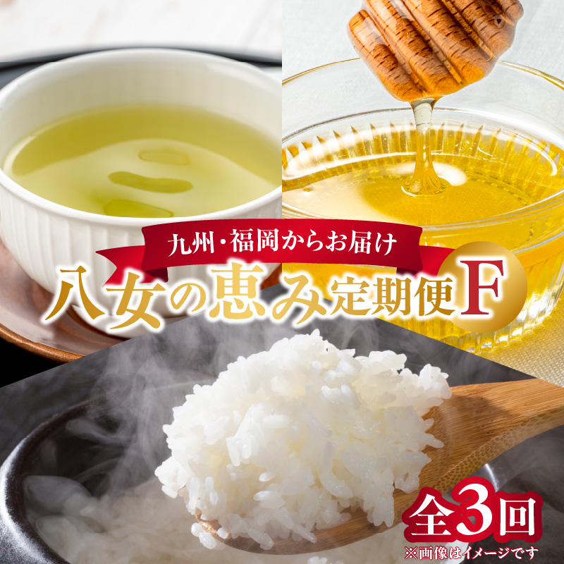 九州・福岡からお届け！八女の恵み定期便【全３回】 F　※配送不可：北海道と離島（沖縄本島を含む）