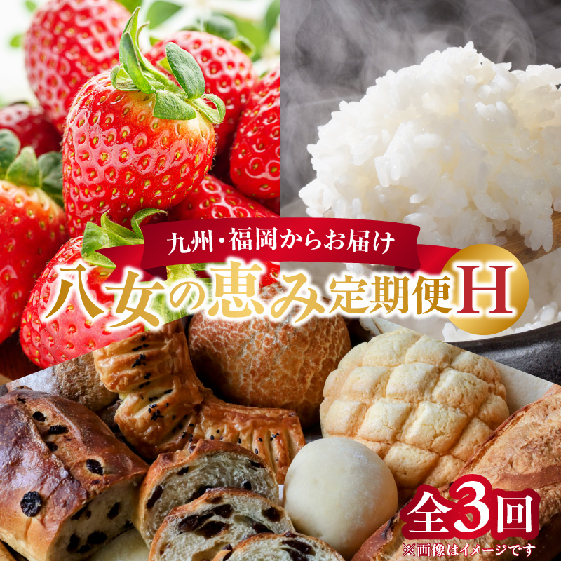 九州・福岡からお届け！八女の恵み定期便【全3回】H　※配送不可：北海道と離島（沖縄本島を含む）