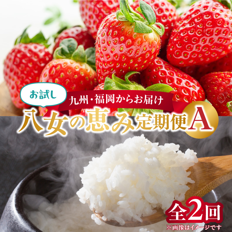 九州・福岡からお届け！八女の恵み定期便お試し【全2回】A　※配送不可：北海道と離島（沖縄本島を含む）
