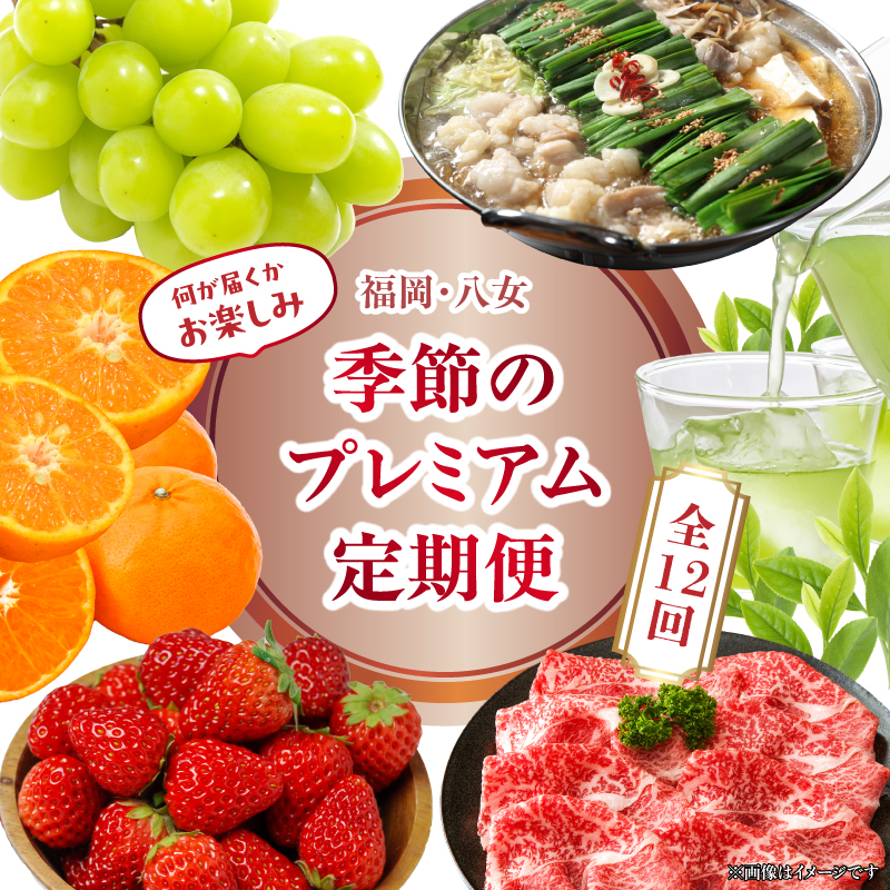 福岡・八女　季節のお楽しみプレミアム定期便【12ヶ月】全12回＜配送不可：北海道・沖縄・離島＞