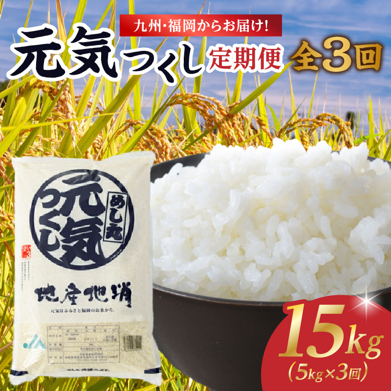 九州・福岡からお届け！ブランド米「元気つくし」定期便【全３回】 お米 米 コメ 白米 特A 直送 お弁当 おにぎり 炊きたて ツヤ 粘り もちもち 弾力 卵かけご飯 福岡県 八女市