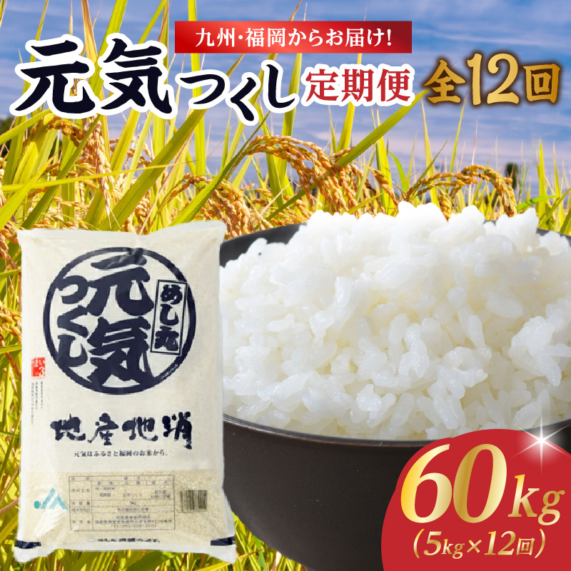 九州・福岡からお届け！ブランド米「元気つくし」定期便【全12回】 お米 米 コメ 白米 特A 直送 お弁当 おにぎり 炊きたて ツヤ 粘り もちもち 弾力 卵かけご飯 福岡県 八女市