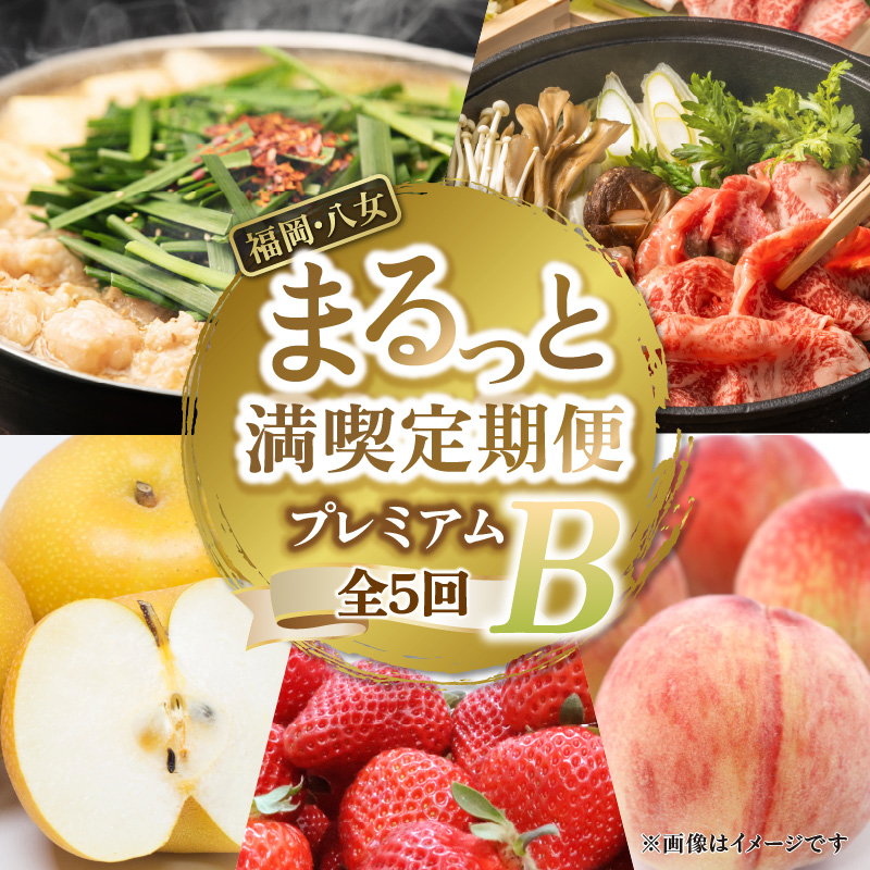福岡・八女まるっと満喫定期便プレミアム全5回B＜配送不可：北海道・沖縄・離島＞