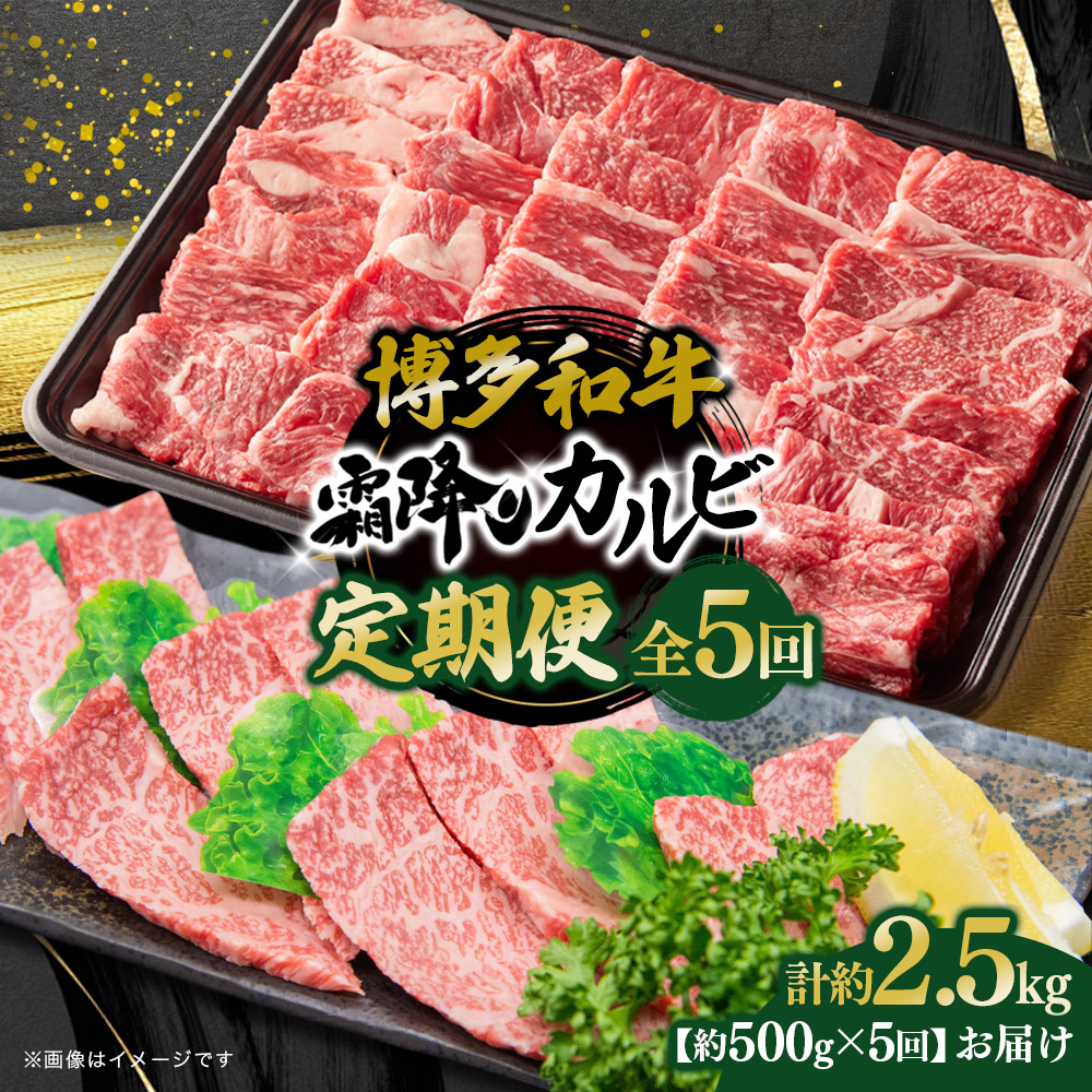 博多和牛 霜降りカルビ 全5回定期便 約500g×5回