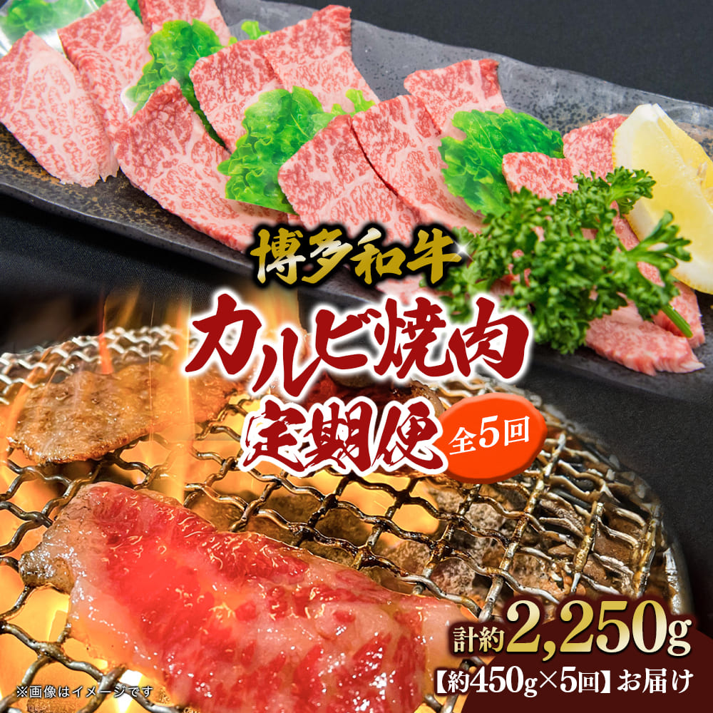 博多和牛 カルビ焼肉（バラ）定期便5回 肉 お肉 博多和牛 和牛 牛肉 カルビ バラ 国産 2～3人前 冷凍 冷凍配送 使い切りサイズ 霜降り 絶品 濃厚 柔らかい ジューシー 家族団らん カルビ丼 焼肉 バーベキュー BBQ 福岡県 八女市