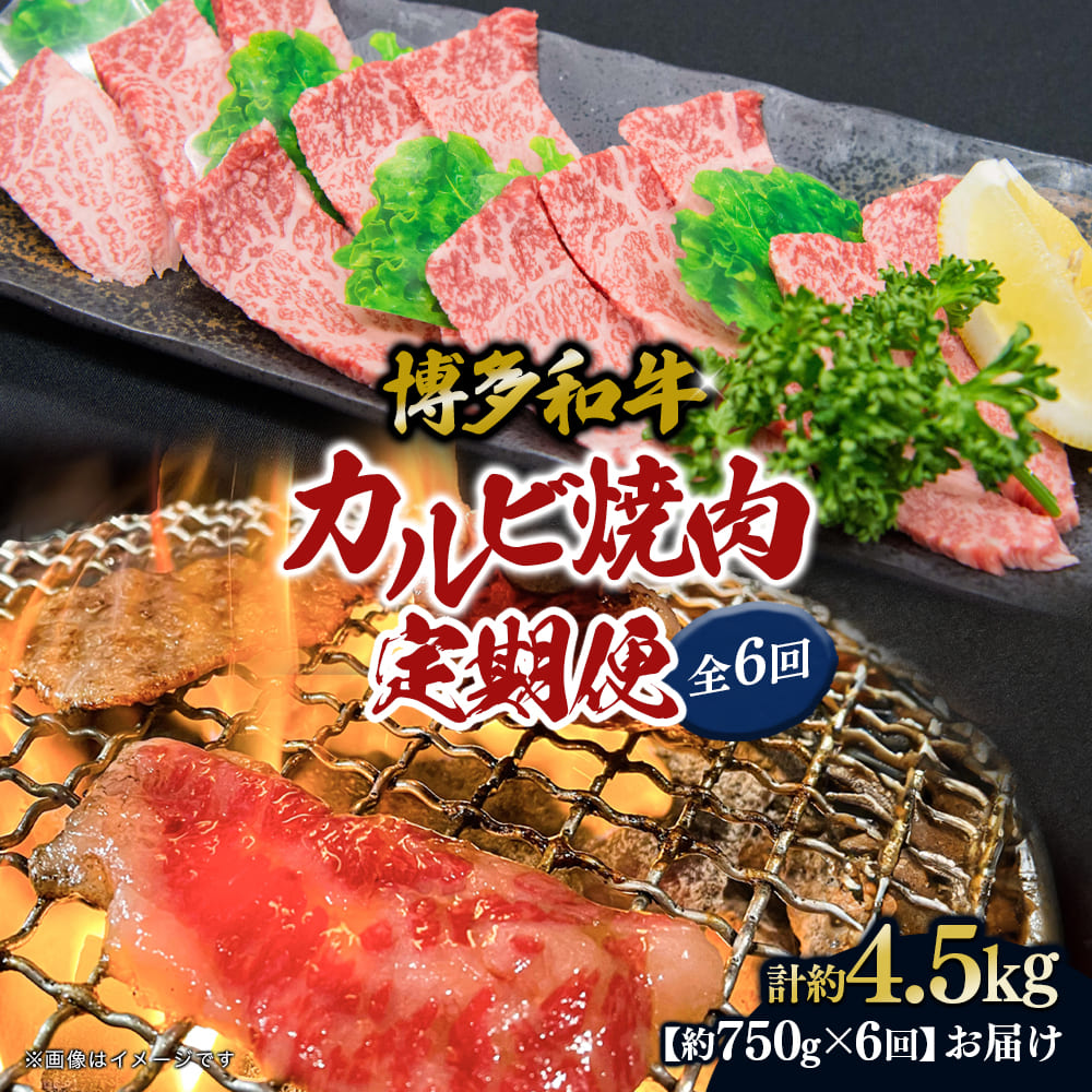 博多和牛 カルビ焼肉（バラ）定期便全6回 肉 お肉 焼肉 牛 牛肉 和牛 バーベキュー BBQ 焼肉