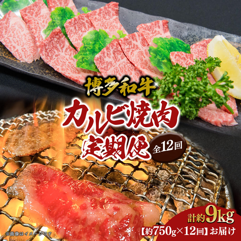 博多和牛 カルビ焼肉（バラ）定期便全12回 肉 お肉 焼肉 牛 牛肉 和牛 バーベキュー BBQ 焼肉