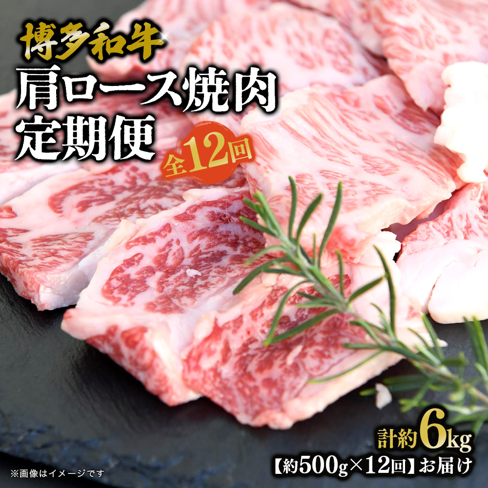 博多和牛 肩ロース焼肉 定期便全12回 肉 お肉 焼肉 牛 牛肉 和牛 バーベキュー BBQ