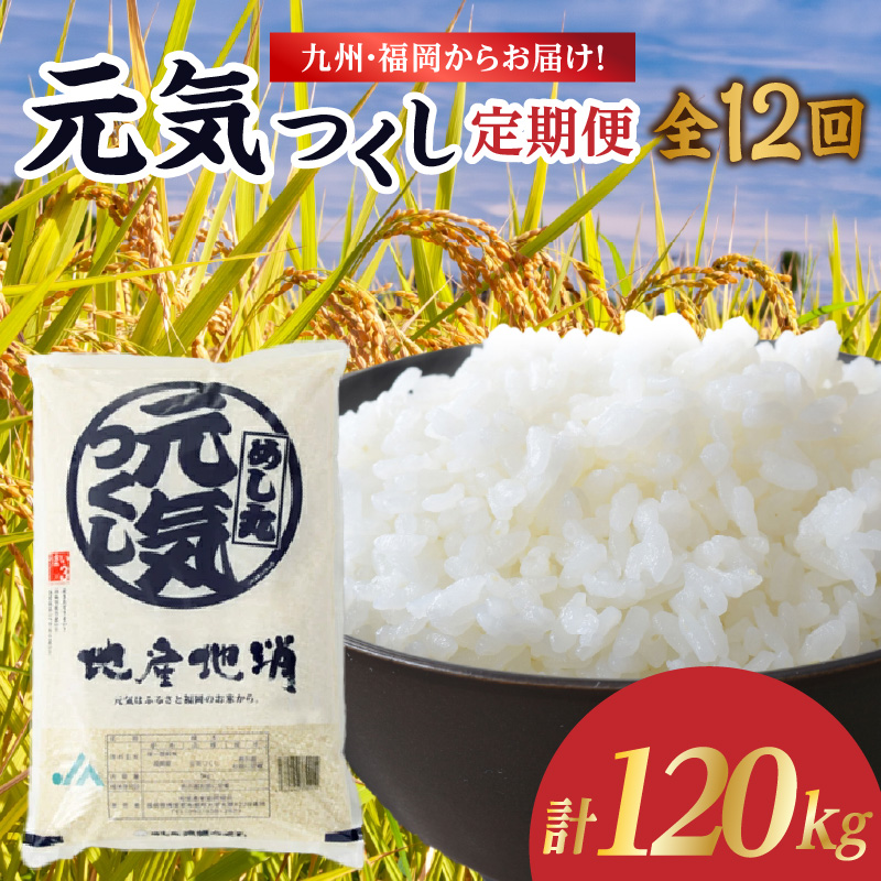 九州・福岡からお届け！ブランド米「元気つくし」定期便 10kg(5㎏×2)【全12回】  お米 米 コメ 白米 特A 直送 お弁当 おにぎり 炊きたて ツヤ 粘り もちもち 弾力 卵かけご飯 福岡県 八女市