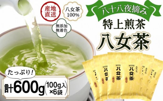 八女茶100％ まろやかなコクとさわやかな後味「特上煎茶」100g×６袋＜岩崎園製茶＞