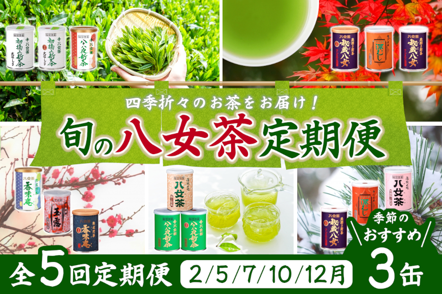 【定期便】八女茶100％ 産地の香りを封印した高級缶詰茶 ≪ ３缶ずつ 年間５回 ≫ ＜岩崎園製茶＞