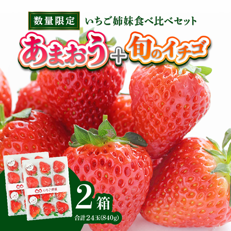 ＜2026年1月～順次発送＞いちご姉妹【あまおう＋旬のイチゴ】食べ比べセット★数量限定★  あまおう いちご 苺 イチゴ フルーツ 果物 くだもの 人気 旬 福岡県産 食べ比べ 採れたて 2品種 セット 冷蔵配送 箱入り 贈答品 プレゼント 贈り物 産地直送 福岡県 八女市