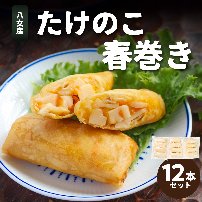 たけのこ春巻き12本セット 総菜 おかず お弁当 夕食 おつまみ 揚げるだけ 簡単 簡単調理 たけのこ 筍 小分け 使い切り 食べきり 福岡県 八女市