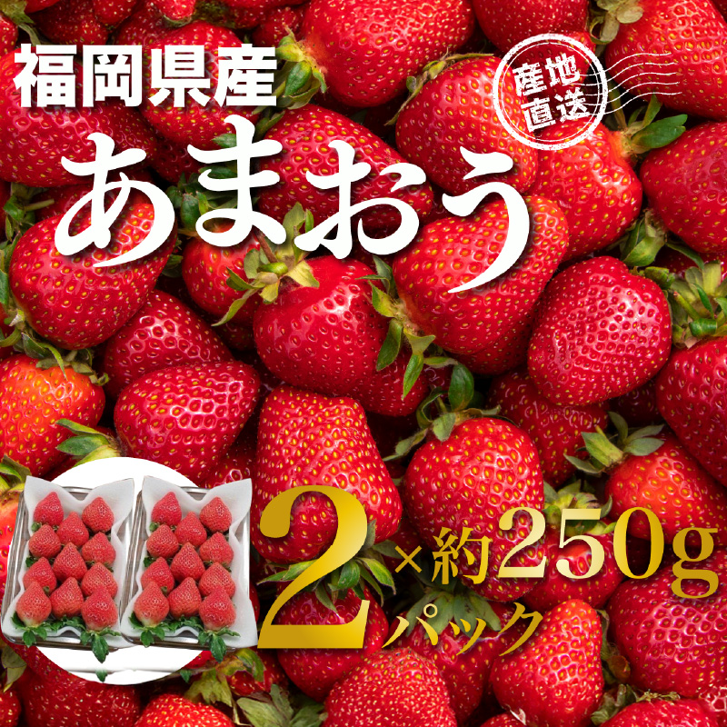 福岡県産あまおう 約250g×2パック  いちご イチゴ 苺 あまおう フルーツ 果物 くだもの 250g 2パック 福岡県 八女市