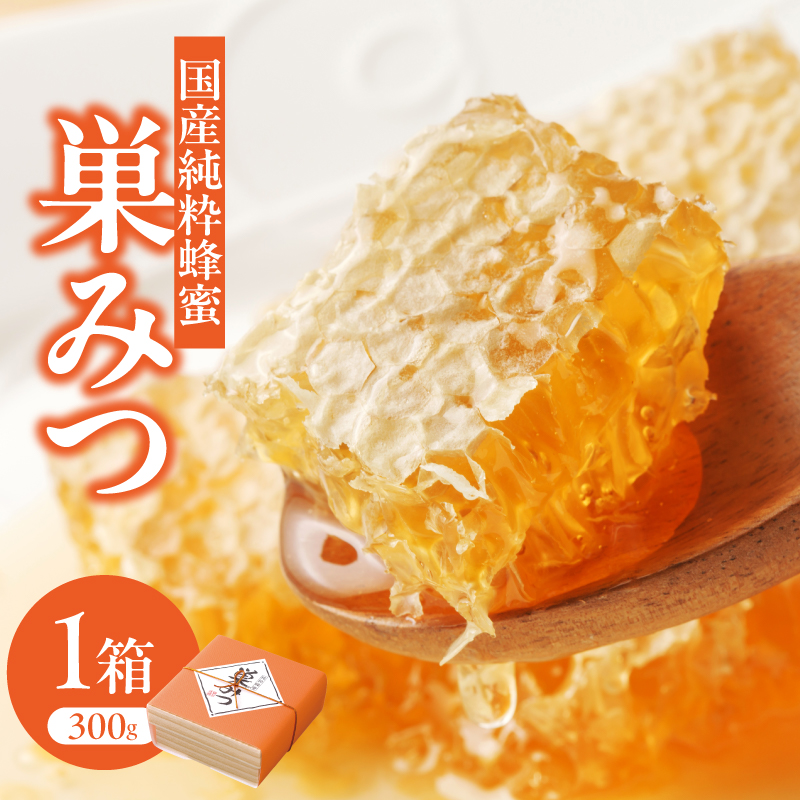 はちみつ 国産純粋蜂蜜 巣みつ 300g 非加熱 はちみつ ハチミツ 生はちみつ ローハニー オススメ 贈答 贈り物 プレゼント 八女市