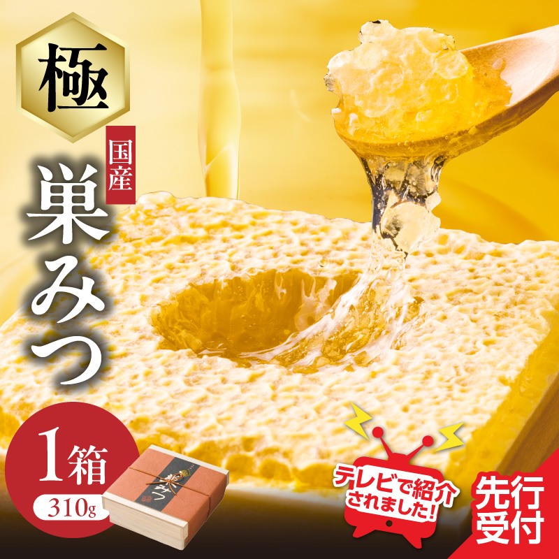  【TVで紹介！】はちみつ 国産 極巣みつ 310g ミツバチ 巣 蜂蜜 巣みつ 自然 貯蔵 鮮度 味 栄養 極上 香り 形 福岡県 八女市