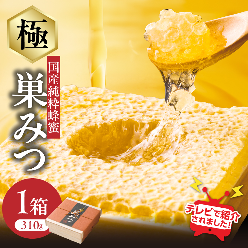  【TVで紹介！】はちみつ 国産純粋蜂蜜 極巣みつ 310g 非加熱 はちみつ ハチミツ 生はちみつ ローハニー オススメ 贈答 贈り物 プレゼント 八女市