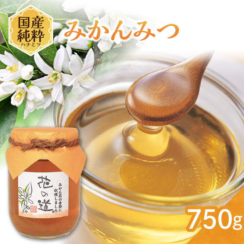 国産純粋蜂蜜 みかんみつ 750g 非加熱 はちみつ ハチミツ 生はちみつ ローハニー オススメ 贈答 贈り物 プレゼント 八女市