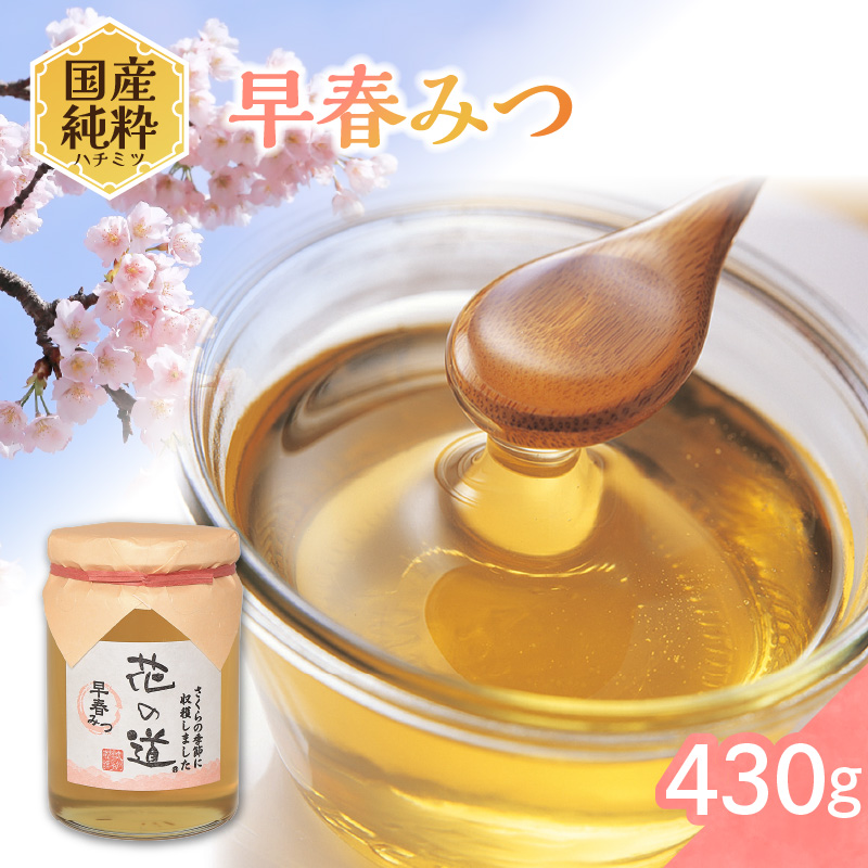国産純粋蜂蜜 早春みつ 430g 非加熱 はちみつ ハチミツ 生はちみつ ローハニー オススメ 贈答 贈り物 プレゼント 八女市