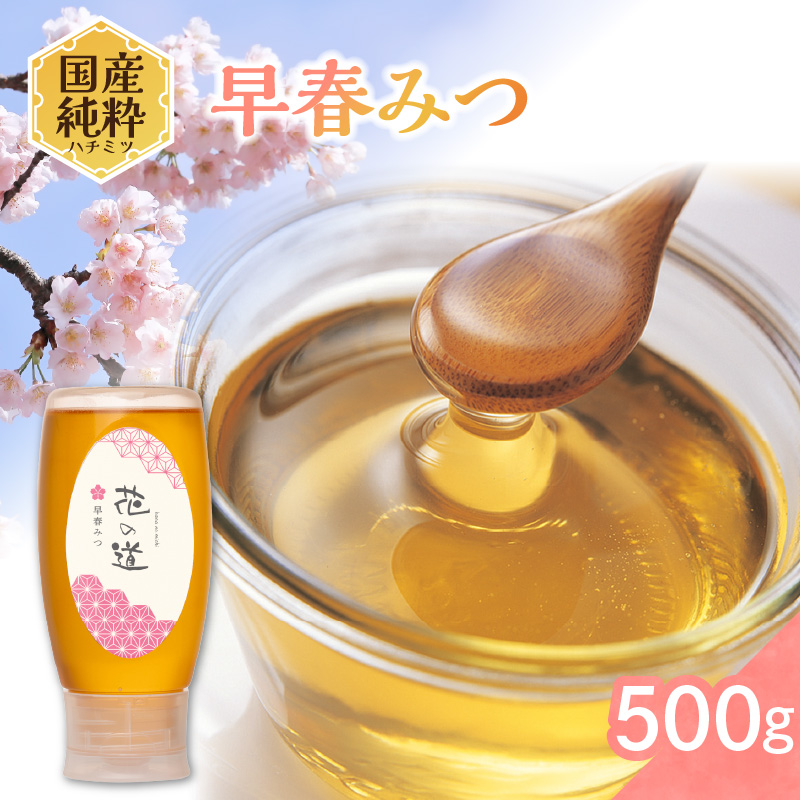 国産純粋蜂蜜 早春みつ 500g 非加熱 はちみつ ハチミツ 生はちみつ ローハニー オススメ 贈答 贈り物 プレゼント 八女市