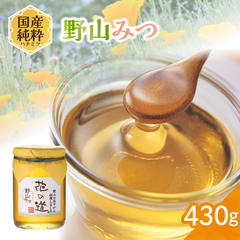国産純粋蜂蜜 野山みつ 430g 非加熱 はちみつ ハチミツ 生はちみつ ローハニー オススメ 贈答 贈り物 プレゼント 八女市